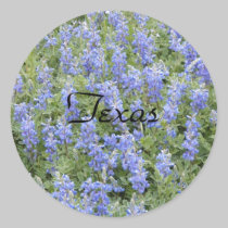 Texasbluebonnetaufkleber aufkleber