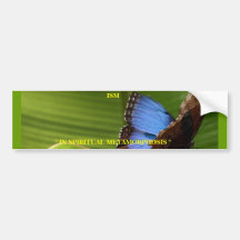 THEORIE AUTO STICKER