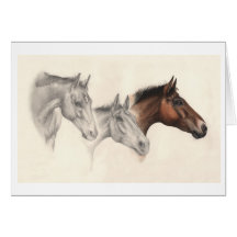 Thoroughbred-Pferde gezeichnet und gemalt Karten