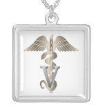 Tierärztlicher Caduceus Amuletten