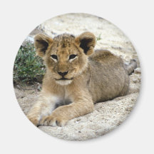 Tierisches wildes 1 kühlschrankmagnete