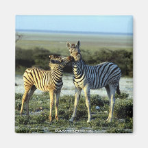 Tierisches wildes 1 kühlschrankmagnete