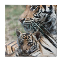 Tiger CUB Keramikkachel