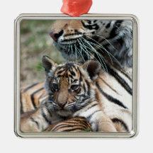 Tiger CUB Ornament