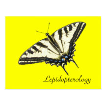 Tiger-Frackschmetterling Lepidopterology Postkarte