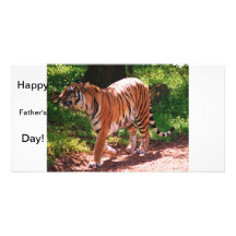 Tiger Individuelle Foto Karten