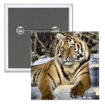 Tiger-Liebhaber-Kunst-Geschenke Anstecknadelbutton
