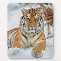 Tiger-Schnee-Porträt Mousepad