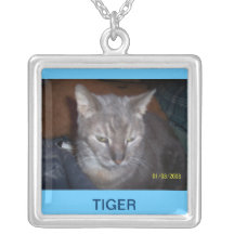 TIGER SELBST GESTALTETER SCHMUCK