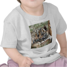 Tigerjunge Shirt