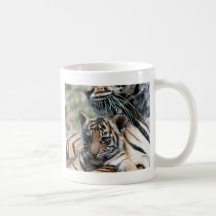Tigerjunges Kaffeetasse