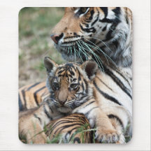 Tigerjunges Mousepads