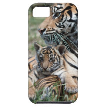 Tigre CUB Coques iPhone 5