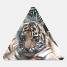 Tigre CUB Sticker En Triangle