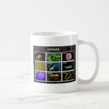 timbre tasse à café