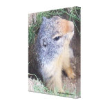 toile enveloppée par groundhog toiles tendues sur châssis