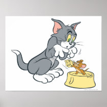 Tom und Jerry ziehen die Katze ein