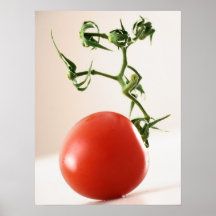 Tomate Plakat