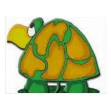 tortue carte postale