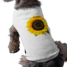 Tournesol T-shirts Pour Toutous