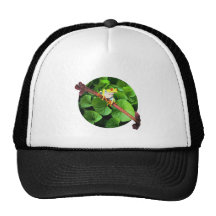 Treefrog Trucker Kappe