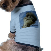 Trikot Hunde-t-shirt