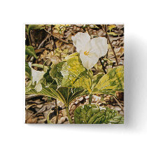 Trilliums