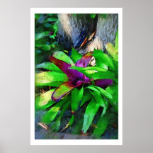Tropische Bromeliads Ölgemäldesammlung Posterdrucke