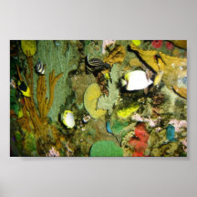 Tropische Fische Plakatdruck
