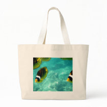 Tropische hawaiische Fische