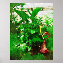 tropische Laubsammlung, Fairchild tropischer g Plakatdruck