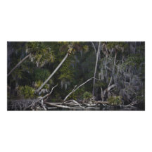 Tropisches Florida Individuelle Foto Karten