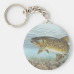 Truite, ruisseau porte-clefs