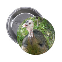 Truthahn Button