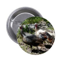 Truthahn Buttons