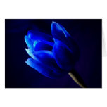 Tulipe bleue cartes de vœux