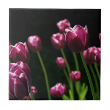 Tulipes de prune carreaux