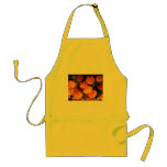 Tulipes oranges tabliers