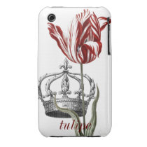 Tulpe-französischer Kronen-Kasten