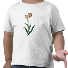 Tulpe-Tulpe T-shirts