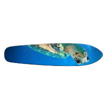 turtleboard plateau de skateboard