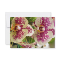 UAWG, das tropische Orchidee Wedding ist