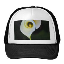 Über einem Callalily Kult Cap