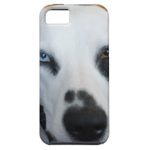 Un chien mignon de Dalmate d'oeil bleu Coque iPhone 5 Case-Mate