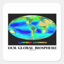 Unsere globale Biosphäre (globale Fotosynthese) Quadrataufkleber