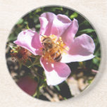 Untersetzer - Biene auf einer wilden Rose untersetzer