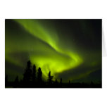 USA, Alaska, Chena heiße Quellen. Aurora Borealis  Karten