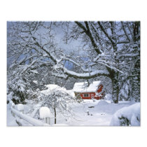 USA, Oregon, Clackamas County. Frischer Schnee