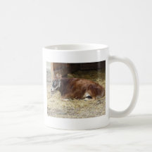 vache brune mug à café