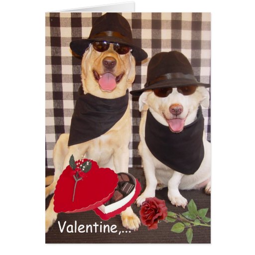 Valentine, nous avons deux ans d'une sorte ! carte de vœux